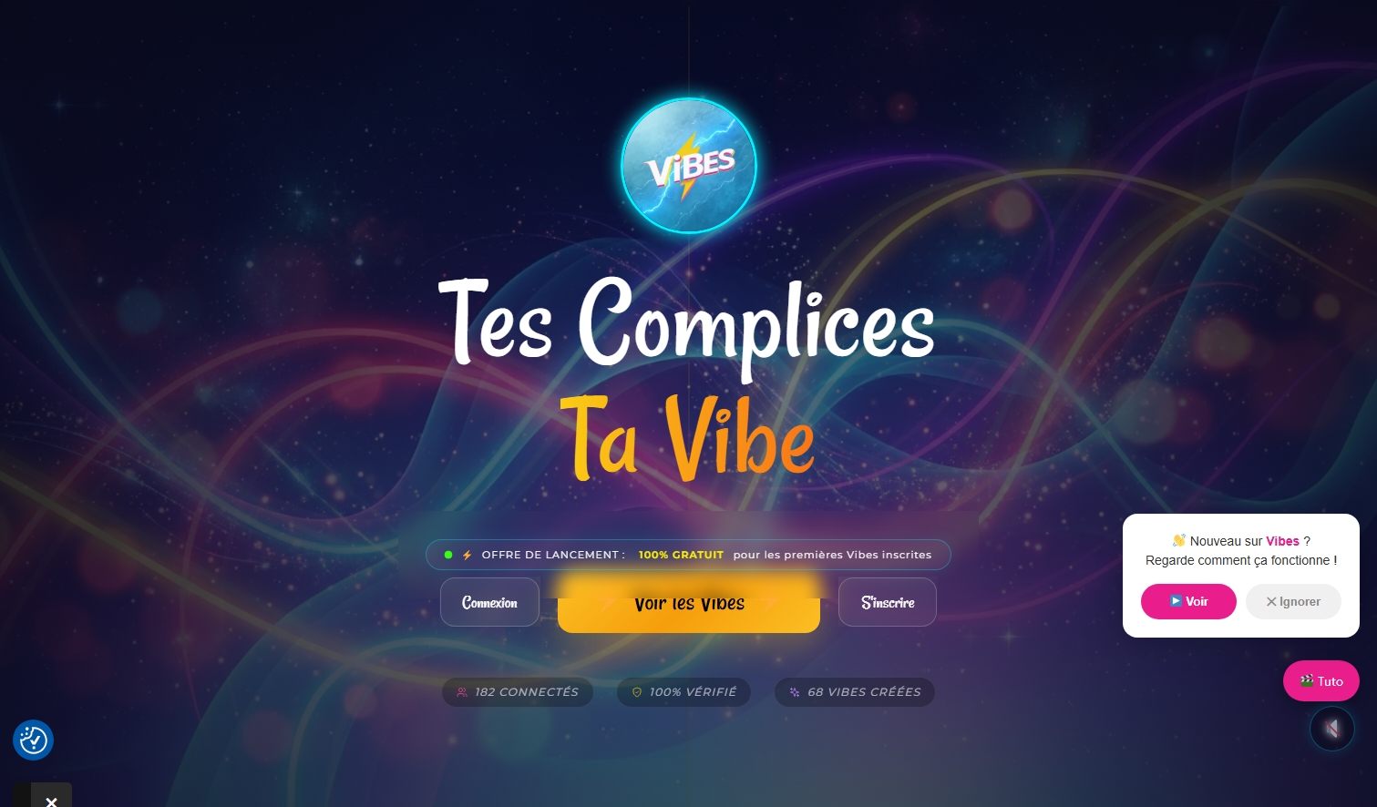 Aperçu du site vibes-in.com